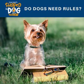 Do Dogs Need Rules? #27