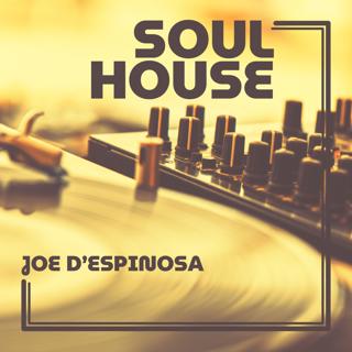 Episode 17: Soul House . Summer 2026 . Joe D'Espinosa
