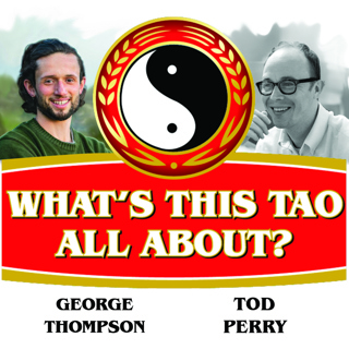 Episode 5 — Te (or the Tao In-Action)