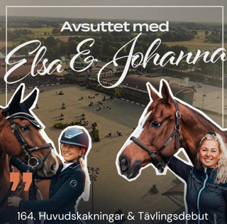 164. Huvudskakningar & Tävlingsdebut