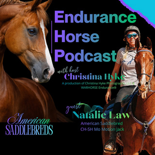 Natalie Law & CH-SH Mo Motion Jack — Brave on the Mountain: The American Saddlebred in Endurance