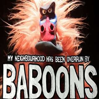 PODCAST: What is the best song to round up escaped Baboons too?