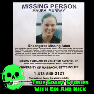 THE DISAPPEARANCE OF MAURA MURRAY