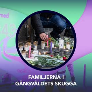 Familjerna i gängvåldets skugga – P3 Nyheter Dokumentär