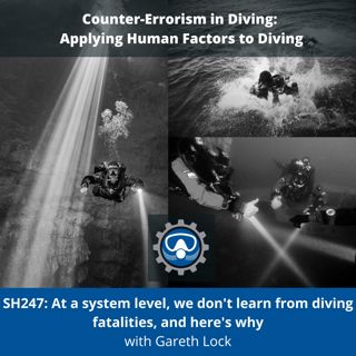 SH247: At a system level, we don't learn from diving fatalities, and here's why