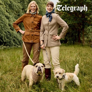 Upper-crust canines and Cornwall beach chaos