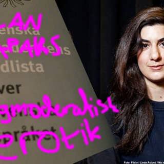 Dubbelmoral, Moderata studenter och den nya Silkesvägen