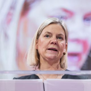”Magda” borde kollat upp ministrarna bättre