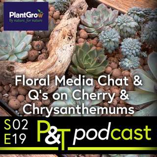 Chelsea Flower Show Floral Judge, Urgent Garden Jobs for This Week & Cherry & Chrysanthemums Questions Answered