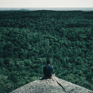 Best of Awake in the World: Fear, Dread & Anxiety - The Buddha in the Forest