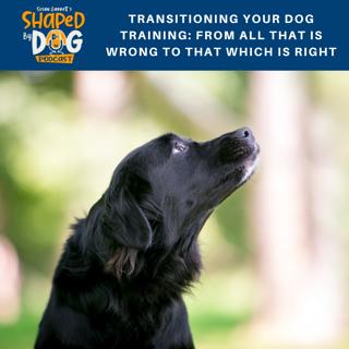 Transitioning Your Dog Training: From All That is Wrong to That Which is Right #102