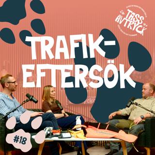 Trafikeftersök