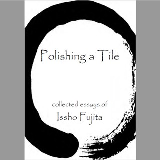 209 - Book Review: Issho Fujita's "Polishing a Tile"