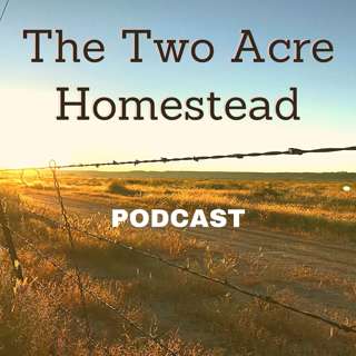 025. Turning Garden Failures Into Success