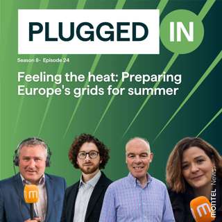 Feeling the heat: Preparing Europe's grids for summer