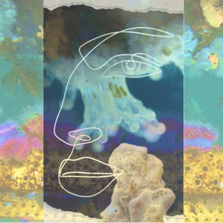 The Power of Crossing Disciplines: How Blending Arts and Sciences Transforms Education