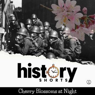 Cherry Blossoms at Night