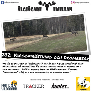 232. Vargomröstning & Drömresor