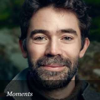 Moments: Following a Wolf for 1,000 Miles