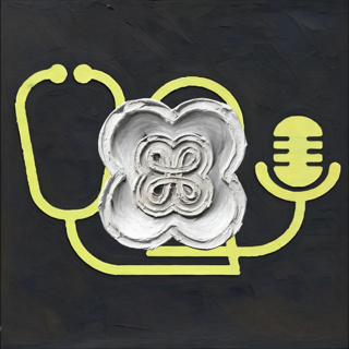 161: Tech Tools for Vets 4: Heidi - AI Scribe, Voice Agents And Clinical Decision Support For Vets. With Dr Kieran McLeod