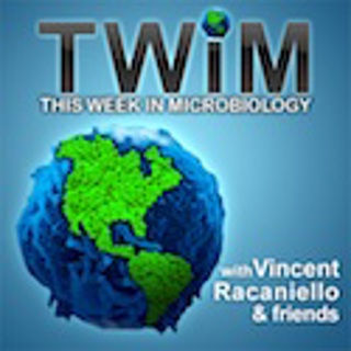 TWiM #33: Tuning the immune organ