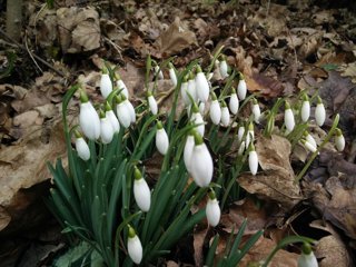 Signs of spring