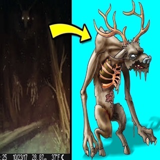 Unidentified Life Forms Living In Abandoned Buildings