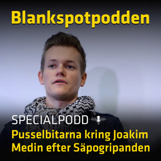 Pusselbitarna kring Joakim Medin efter Säpogripanden