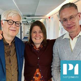 Hur har den dramatiska våren påverkat den svenska självbilden?