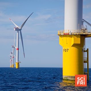 Maine Offshore Wind Auction Draws Few Bids | An Artist Combines Indigenous Textiles With Modern Tech