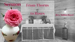 Sermon: From Thorns to Roses, by Rev. Tobias Bayer