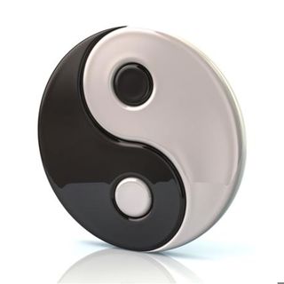 Opposites Do More Than Attract They Show You The Way
