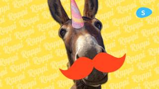 Rappi: the Latin American Unicorn | Sidebean
