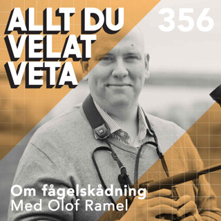 356 Om fågelskådning med Olof Ramel