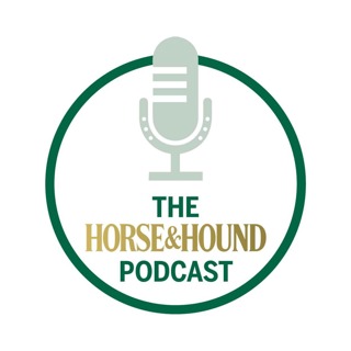 Andrew Gould on his first senior team call-up ahead of the European Dressage Championships