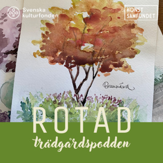 Buskar hjärta perenner = SANT