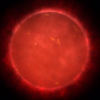 Cosmic Queries: A Stellar Smorgasbord