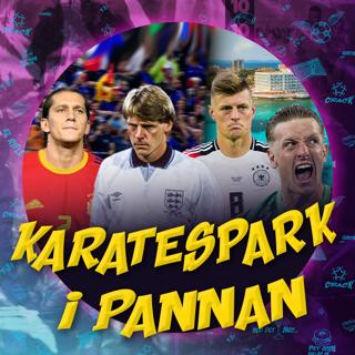Karatespark i pannan