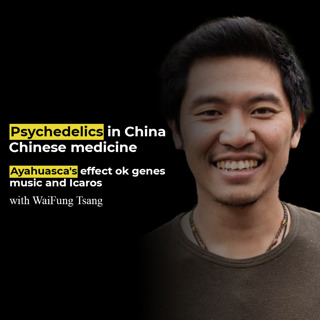 Psychedelics in China, Chinese medicine, ayahuasca's effect on genes with Waifung Tsang
