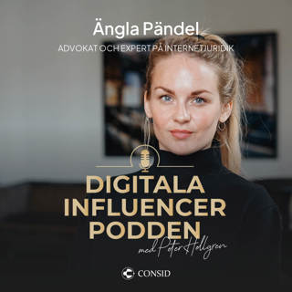 227. Analoga hål i lagstiftningen | Ängla Pändel, advokat och expert på internetjuridik  | Digitala gränser och sharenting