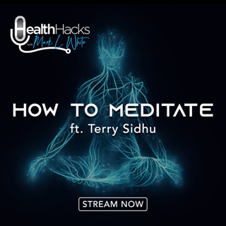 Meditation101 ft. Terry Sidhu