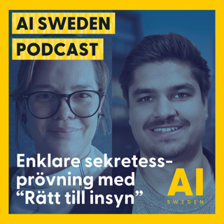 Enklare sekretessprövning – om Kraftsamlingsprojektet “Rätt till insyn” med Therese Perner, Lidingö stad, och Johan Lennartsson, Atea