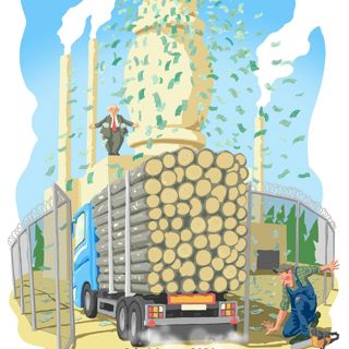 Skogsfredag #130 - Samhällskontraktet i skogen som orsakar låga virkespriser?
