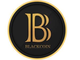 David Cohen: BlackCoin Music, Concept and So Much More LIVE!