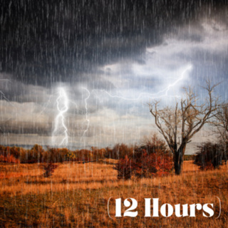 Rain & Thunder | Sleep Sound (12 Hours)