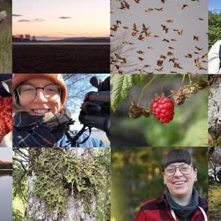 Naturmorgonåret 2020