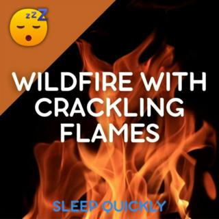 😴🔥 WILDFIRE Burning with Huge FLAMES Crackles