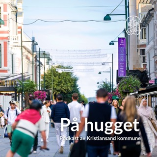 På Hugget: Demokratiuka