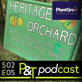 How's About Those Apples? Heritage Orchard, Geum Question, Garden Tips & Jill's Seasonal Recipe