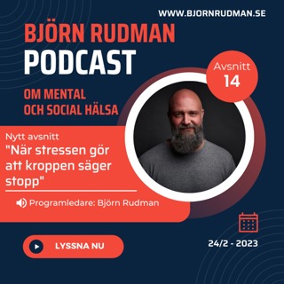 När stressen gör att kroppen säger stopp